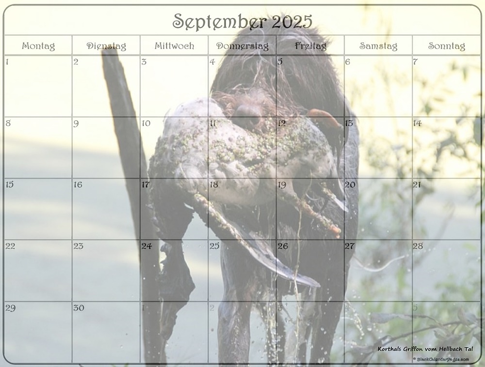 september 2025